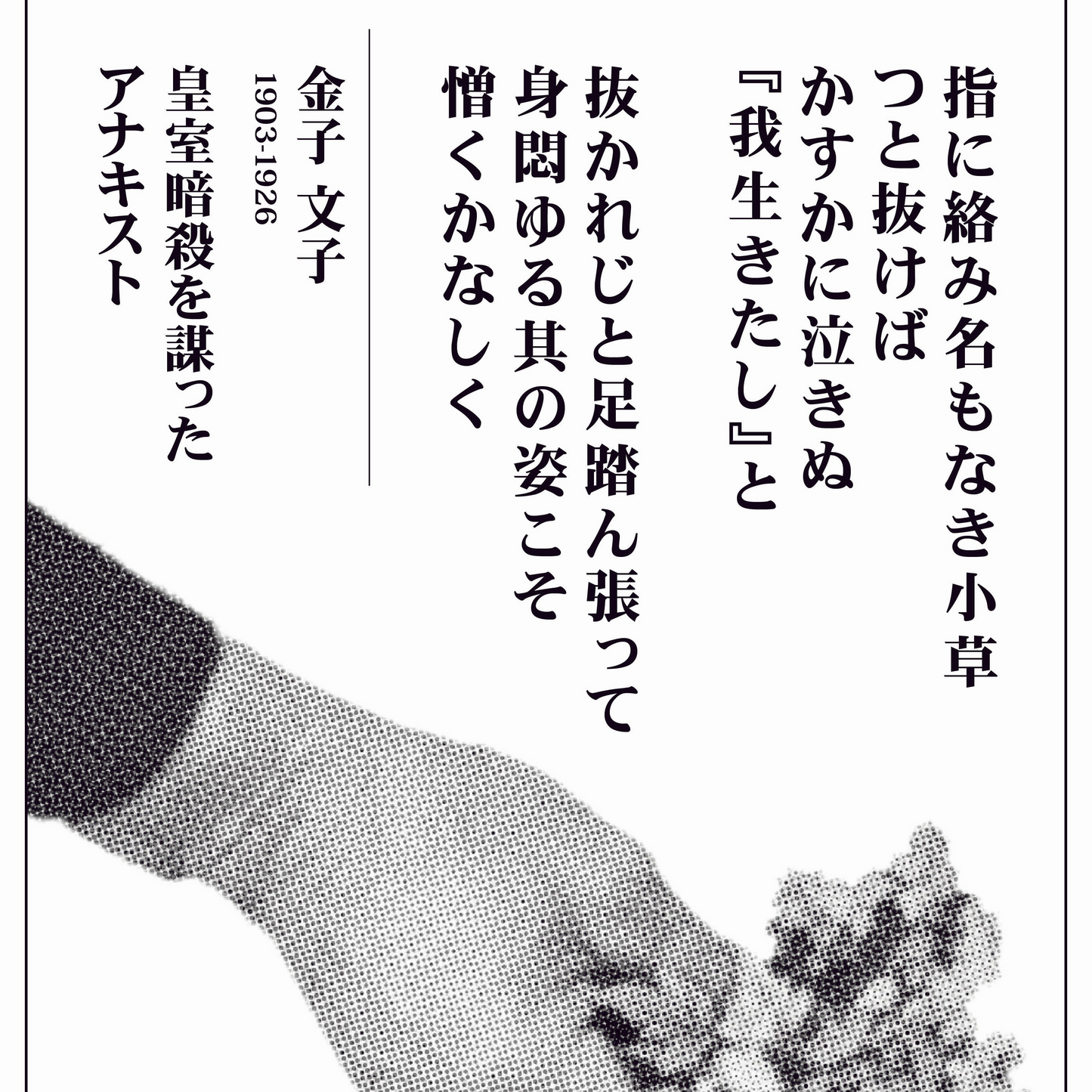 kaneko fumiko jp