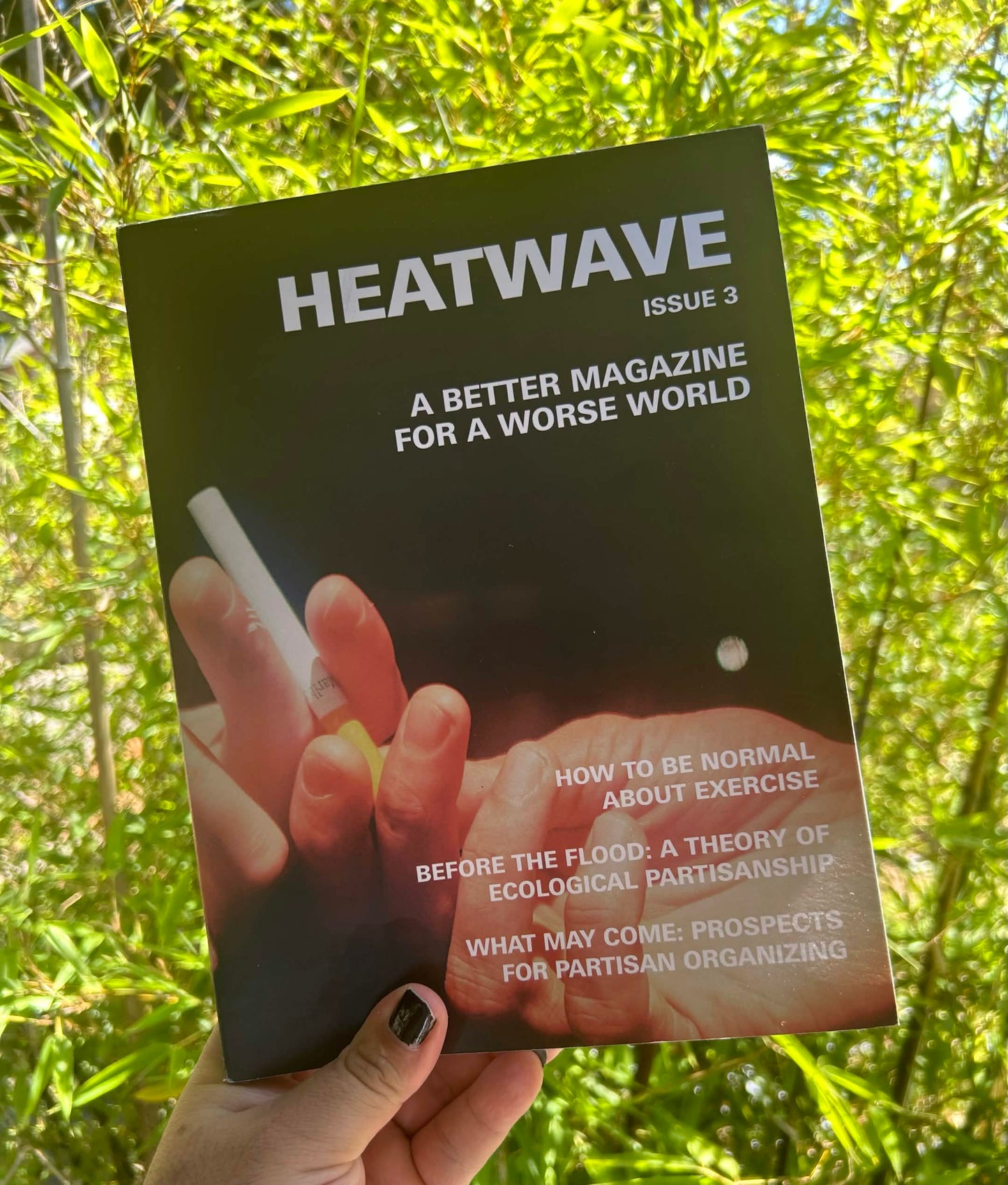 Heatwave #3