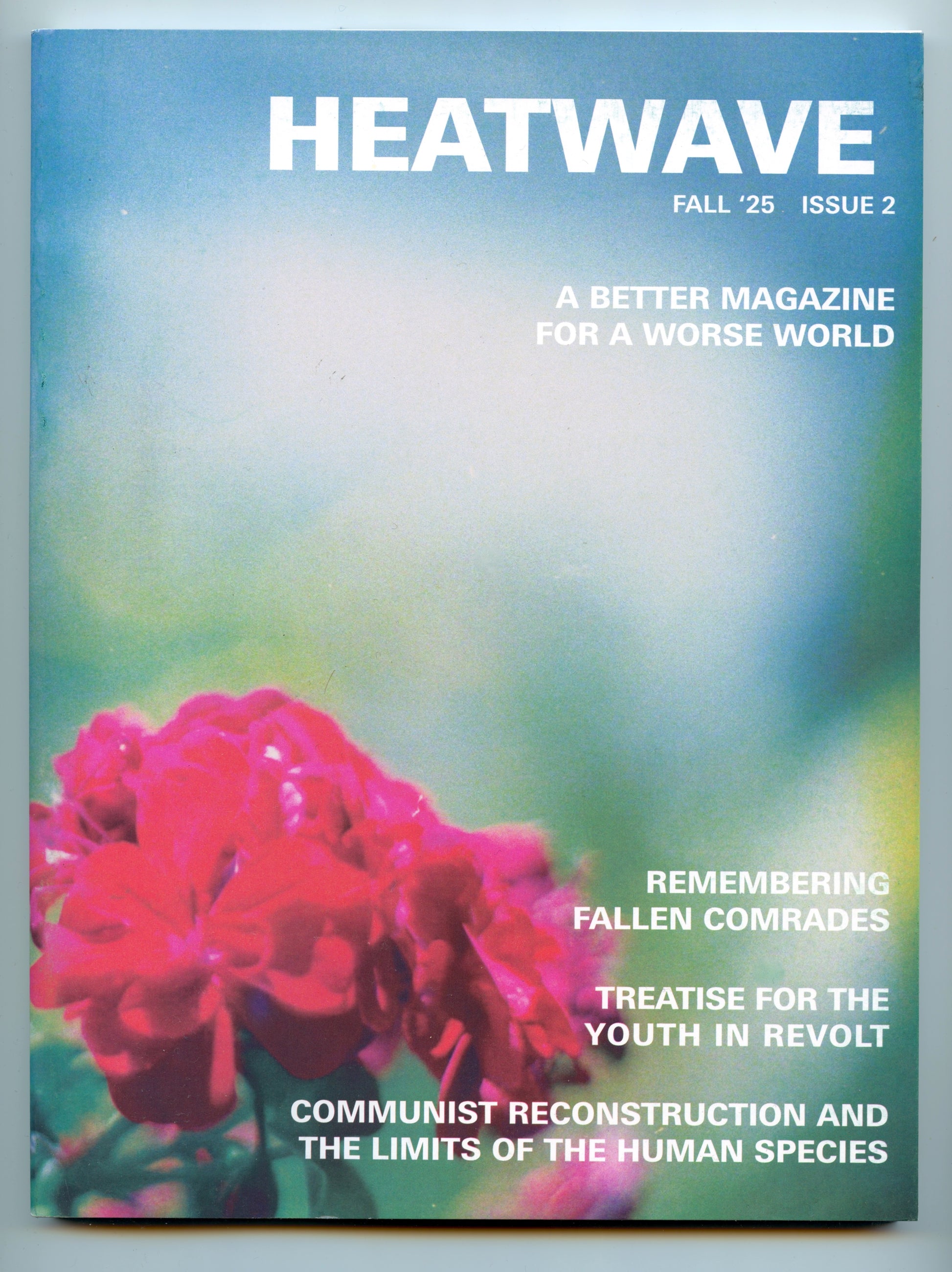 Magazine cover titled 'Heatwave' with a pink flower on a blue and green gradient background